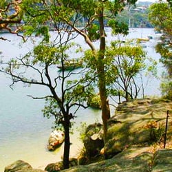Berry Island