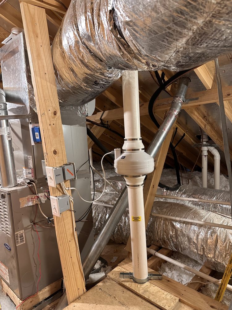 Cardinalbama - mold inspector in Bessemer, AL