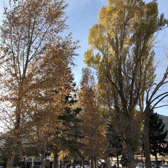 Jackson's Town Square - Town Square Park in mid-October. The leaves have turned and are falling. - Parks Near Me - Jackson, Wyoming Jackson's Town Square - Town Square Park in mid-October. The leaves have turned and are falling. - Parks Near Me - Jackson, Wyoming