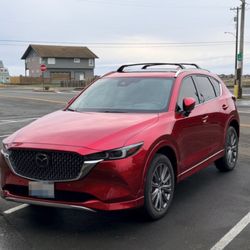 Tint Fresh - Xpel on Crystal Red Soul (46V) by Tint Fresh (Tumwater)