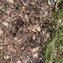 Photo of Godwin Green Roofing