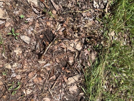Godwin Green Roofing