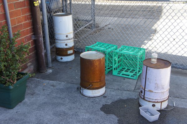 Monk Bodhi Dharma by null