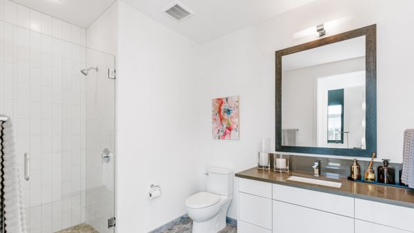 St Paul Collection by null