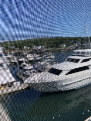 Mine Oyster by null