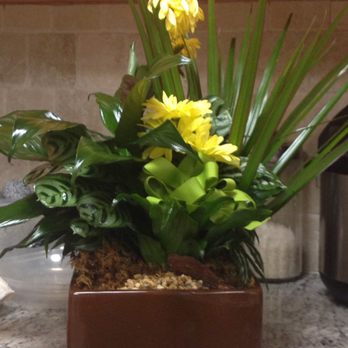De La Flor Gardens - DELIVERED Delightful Dish Garden - Florists Near Me - Cooper City, Florida De La Flor Gardens - DELIVERED Delightful Dish Garden - Florists Near Me - Cooper City, Florida