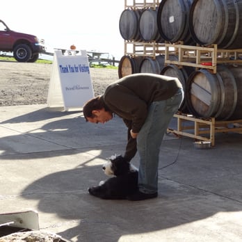 Pacific Star Winery - My husband with one of the doggies! - Wineries Near Me - Fort Bragg, California Pacific Star Winery - My husband with one of the doggies! - Wineries Near Me - Fort Bragg, California