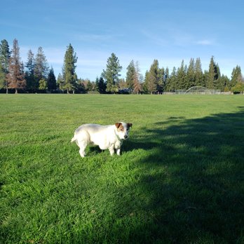 Athan Downs Park - Parks Near Me - San Ramon, California Athan Downs Park - Parks Near Me - San Ramon, California
