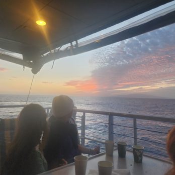 Calypso Charters - Sunset view with whales in the ocean.. - Snorkeling Near Me - Wailuku, Hawaii