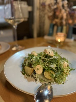 Lion and Owl by null