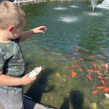 Resendiz Family Fruit Barn - Feeding the friendly fish my kids love it - Bakeries Near Me - Hughson, California Resendiz Family Fruit Barn - Feeding the friendly fish my kids love it - Bakeries Near Me - Hughson, California