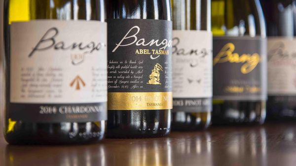 Bangor Vineyard Shed by null