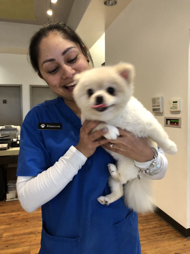 WAIPAHU WAIKELE PET HOSPITAL 364 Photos & 369 Reviews Veterinarians