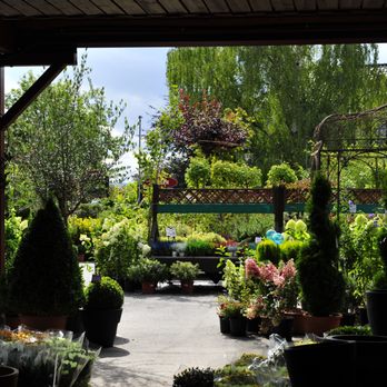 Hageland Skajems Hagesenter - Florists Near Me - Oslo, 03 Hageland Skajems Hagesenter - Florists Near Me - Oslo, 03