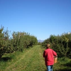 Third Street Apples