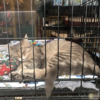Food Dish Wishes - Pet Stores Near Me - Edmonton, Alberta Food Dish Wishes - Pet Stores Near Me - Edmonton, Alberta