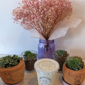 Oh Ye Coconut Desserts - Desserts Near Me - Quincy, Massachusetts Oh Ye Coconut Desserts - Desserts Near Me - Quincy, Massachusetts