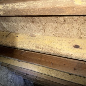 Crawlspace Doctor - Mold in a crawlspace - Environmental Abatement Near Me - Indianapolis, Indiana Crawlspace Doctor - Mold in a crawlspace - Environmental Abatement Near Me - Indianapolis, Indiana