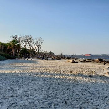 Driftwood Beach - Beaches Near Me - Jekyll Island, Georgia Driftwood Beach - Beaches Near Me - Jekyll Island, Georgia