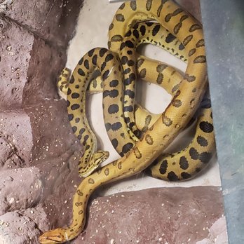 Philadelphia Zoo - So many amphibians! - Zoos Near Me - Philadelphia, Pennsylvania