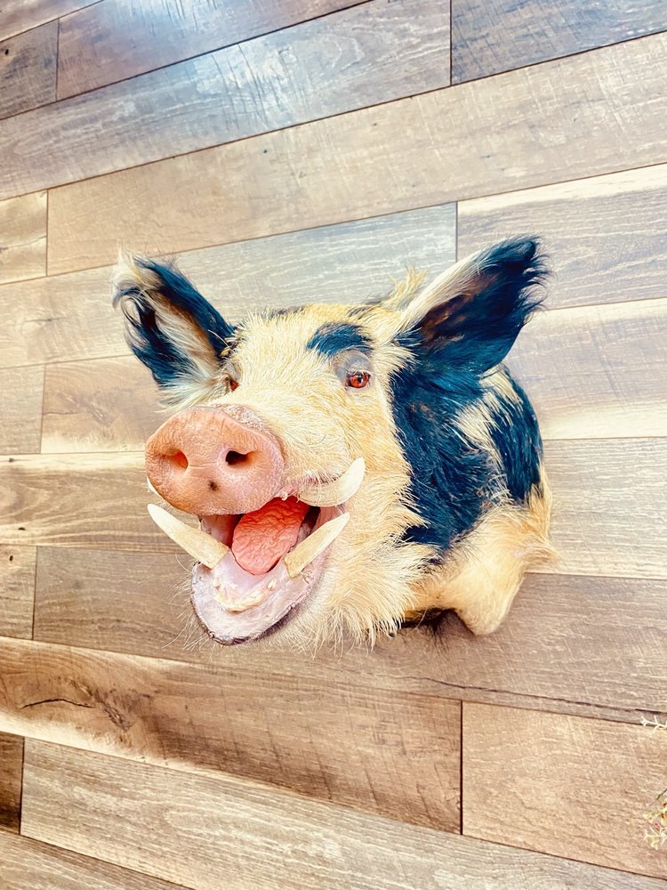 Morgan Taxidermy - taxidermy in Tyler, TX