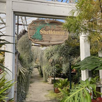 Shelldance Orchid Gardens - Greenhouse - Nurseries & Gardening Near Me - Pacifica, California