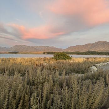 Lake Tekapo - Lakes Near Me - Lake Tekapo, CAN Lake Tekapo - Lakes Near Me - Lake Tekapo, CAN