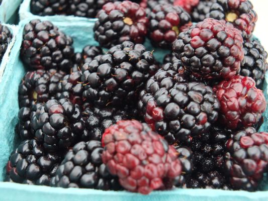 McCutcheon/Mount Vernon Farmers Market by null