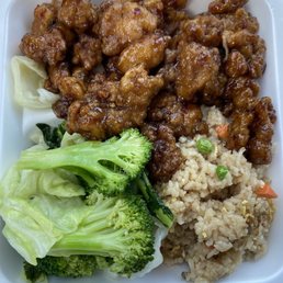 Plate with Orange Chicken for the Entree and Half Fried Rice and Half Steamed Vegetables for the Side Plate with Orange Chicken for the Entree and Half Fried Rice and Half Steamed Vegetables for the Side