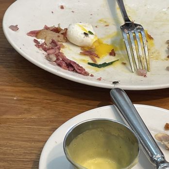 Boon Fly Cafe - Flies in my food - American Near Me - Napa, California