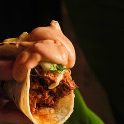 Little Havana - Taco Ropa Vieja