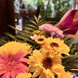 La Cueva del Chango - Fresh flowers