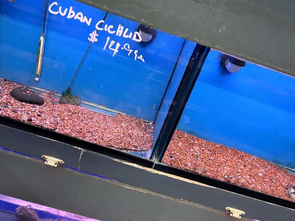 Xtreme Fish & Pets Image