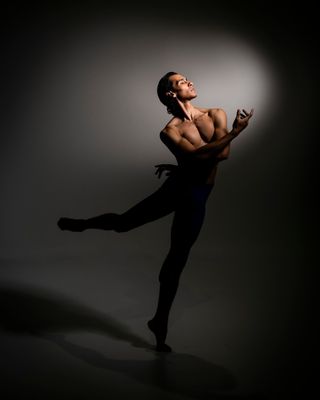 Grand Rapids Ballet by null