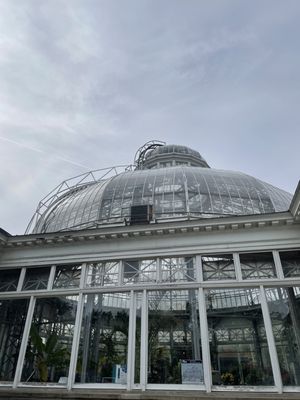 Allan Gardens Conservatory by null