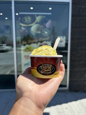 Dang Good Ice Cream by null