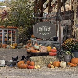 Gilly’s Pumpkin Patch