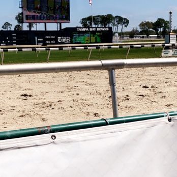 Tampa Bay Downs - Casinos Near Me - Tampa, Florida Tampa Bay Downs - Casinos Near Me - Tampa, Florida