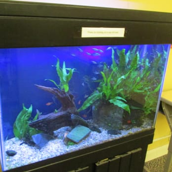 Topsham Public Library - Fishies - Libraries Near Me - Topsham, Maine