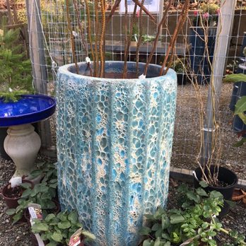 Crazy Hill Garden & Botanicals - Huge lava glaze pot - Nurseries & Gardening Near Me - Belfair, Washington Crazy Hill Garden & Botanicals - Huge lava glaze pot - Nurseries & Gardening Near Me - Belfair, Washington
