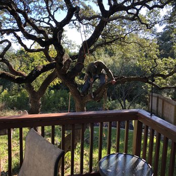 Aaron's Tree Service - Tree Services Near Me - Austin, Texas