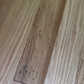 Carpetland - Carpet Installation Near Me - Lincoln, Nebraska
