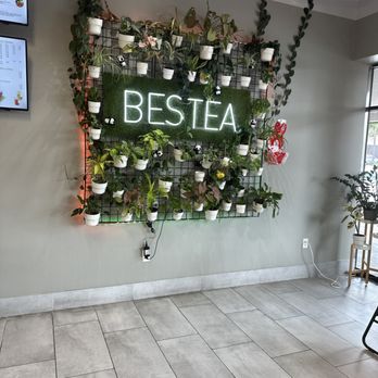 Bestea - Bubble Tea Near Me - Oviedo, Florida Bestea - Bubble Tea Near Me - Oviedo, Florida