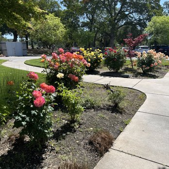 Beautiful Minds Medical Center - The peaceful setting of Beautiful Minds - Counseling & Mental Health Near Me - Auburn, California Beautiful Minds Medical Center - The peaceful setting of Beautiful Minds - Counseling & Mental Health Near Me - Auburn, California