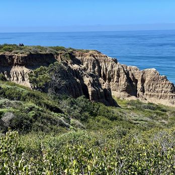 Torrey Pines State Reserve - Parks Near Me - La Jolla, California Torrey Pines State Reserve - Parks Near Me - La Jolla, California