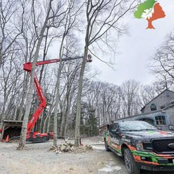 Tree Fellas