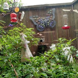 Woodgrove Antique Mall and Tea Room