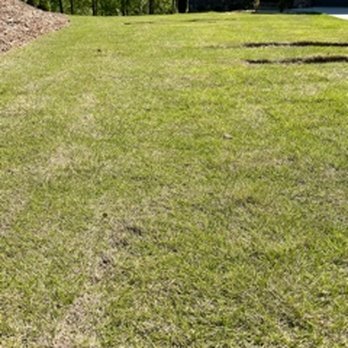 Cedar Ridge Landscaping - a view of the front yard - Landscaping Near Me - Roebuck, South Carolina