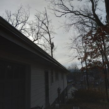 All-Pro Tree Service - Climber in my tree - Tree Services Near Me - State College, Pennsylvania All-Pro Tree Service - Climber in my tree - Tree Services Near Me - State College, Pennsylvania