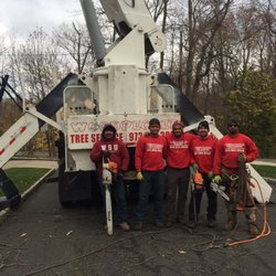 WOODPECKER TREE SERVICE - 106 Photos & 21 Reviews - Tree Services